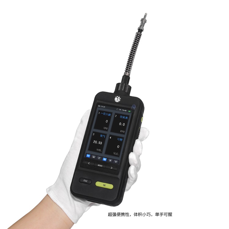 JG6000-EX泵吸式可燃?xì)怏w檢測儀